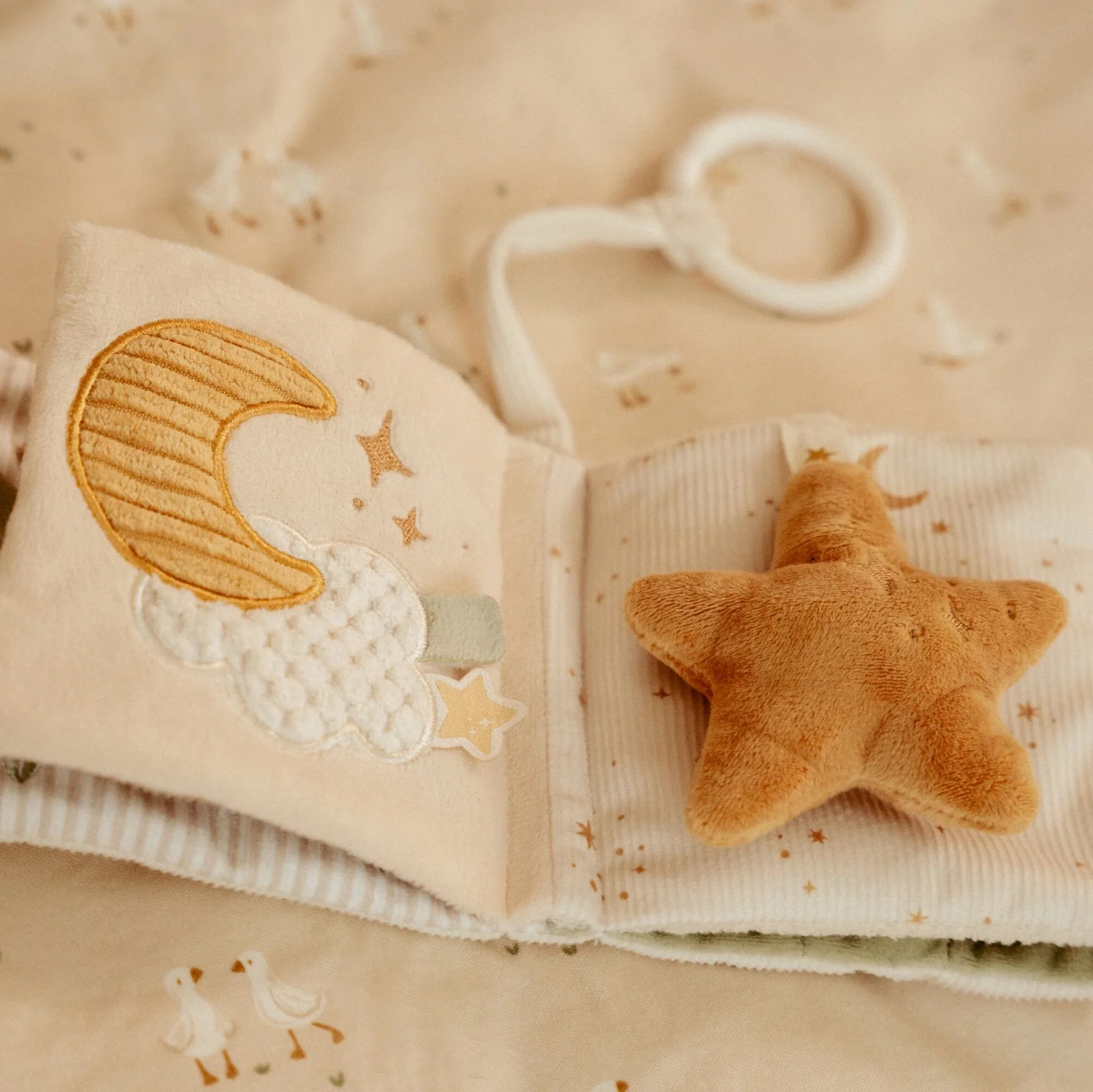 Little Goose Stroller Book - Image 11