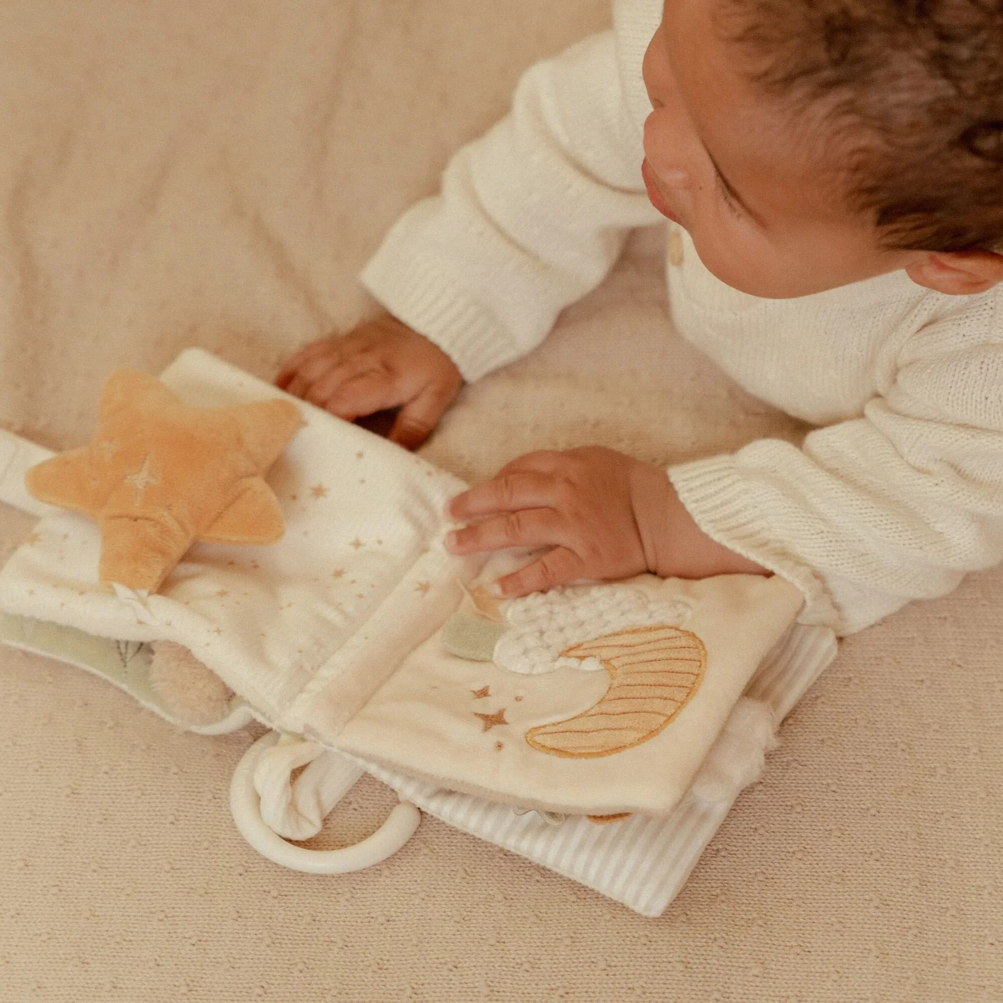 Little Goose Stroller Book - Image 5