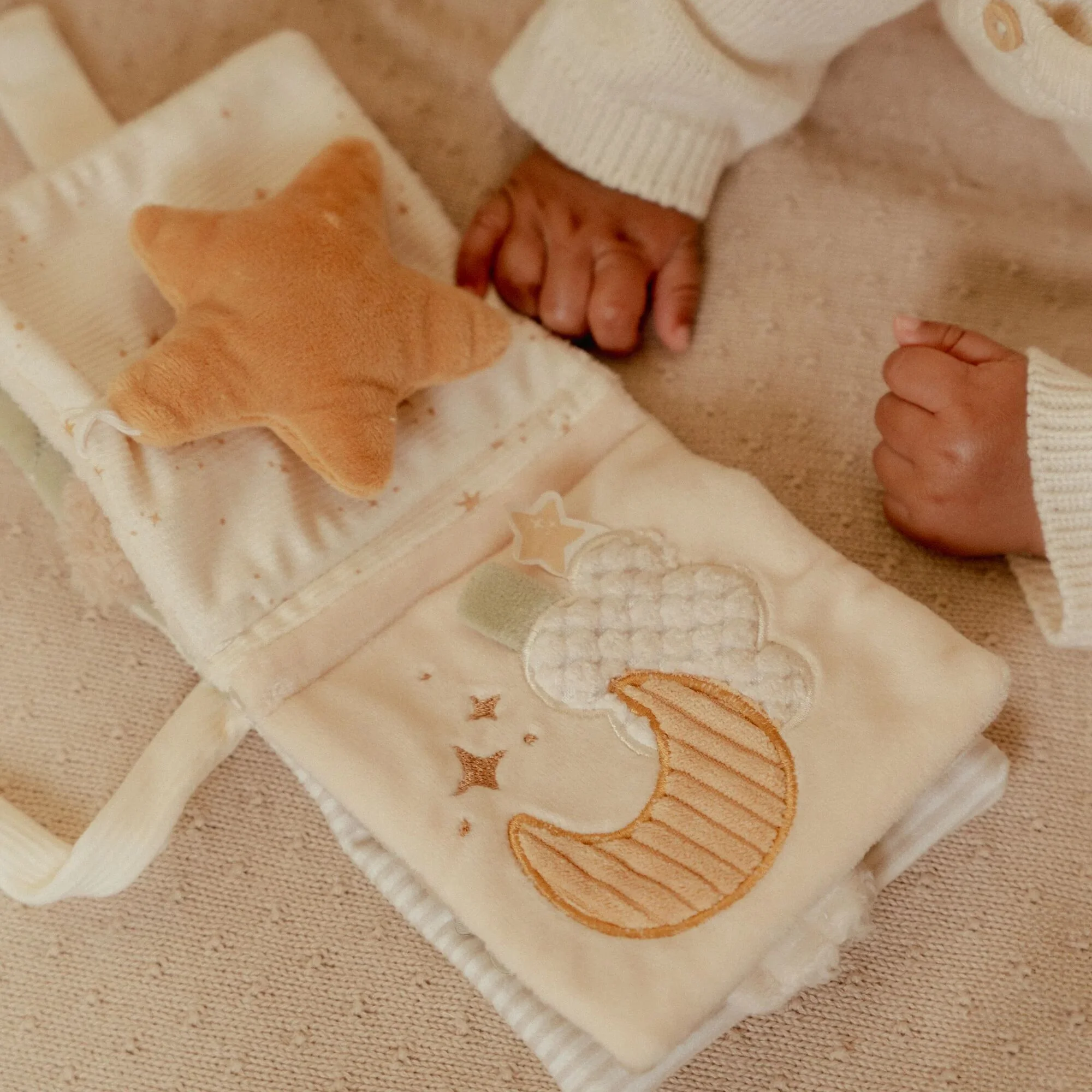 Little Goose Stroller Book - Image 6